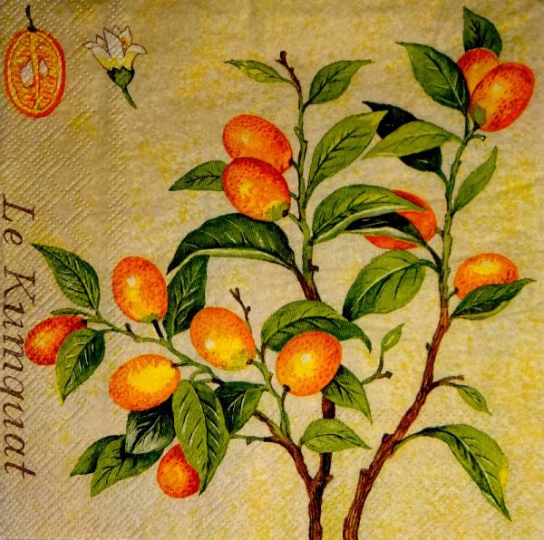 132 Lemons,  Oranges - 3-ply - Avantgarde